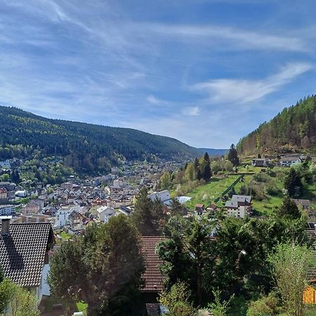 Ferienwohnung Panoramablick Бад Вилдбад Екстериор снимка
